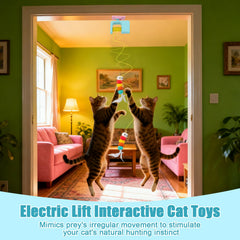 BABORUI Interactive Cat Toy dual rope setup enables flexible mounting options.