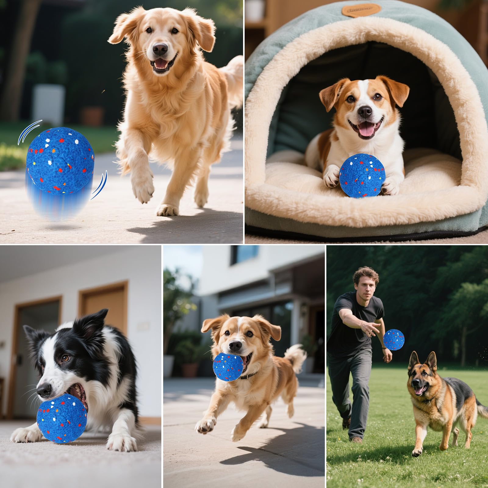 BABORUI interactive dog ball living room scene demonstrates safe indoor enrichment
