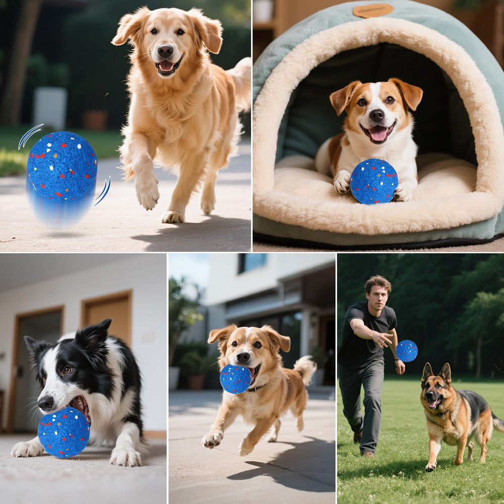 BABORUI interactive dog ball living room scene demonstrates safe indoor enrichment