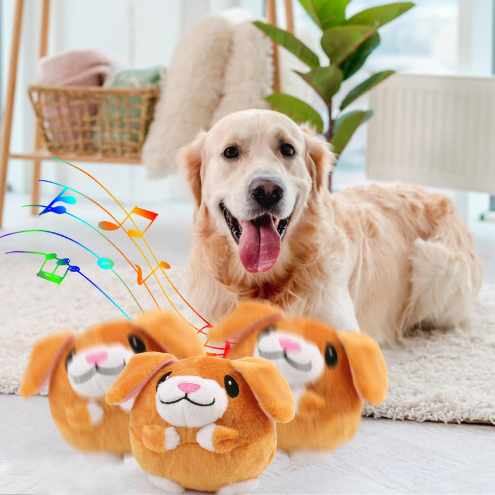 BABORUI size-variant design fits small to large dogs well.