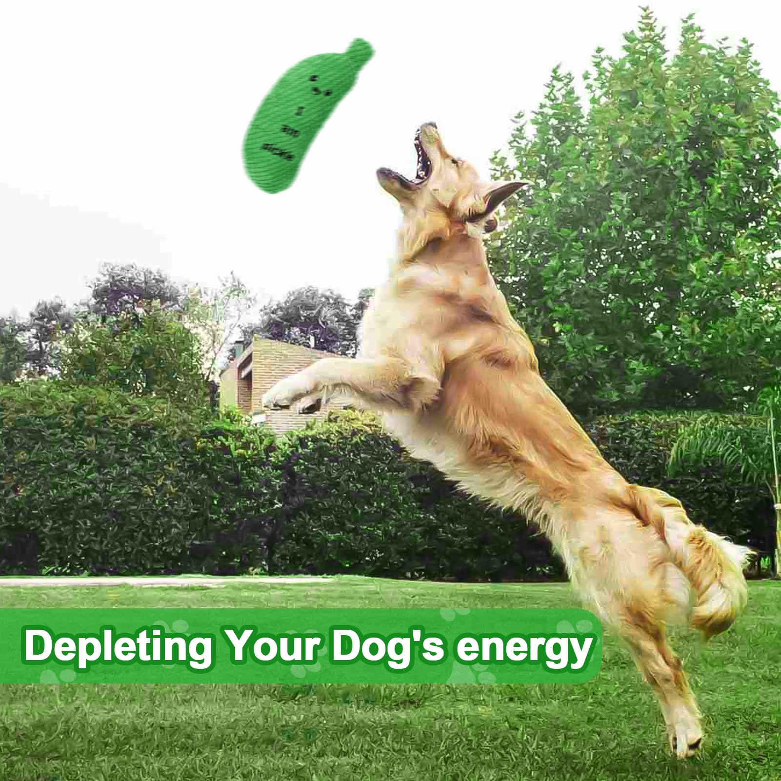 BABORUI Pickle Toy chewing action, squeaker prompts interactive play.