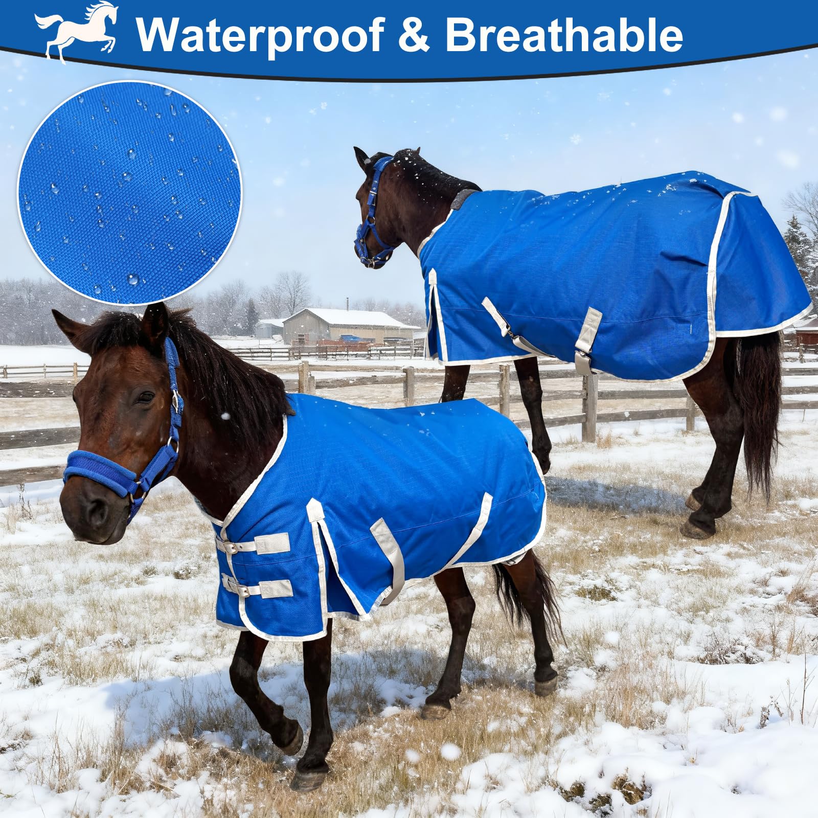 BabyFoxy double-buckle front closure blue focuses on secure fit and easy use.