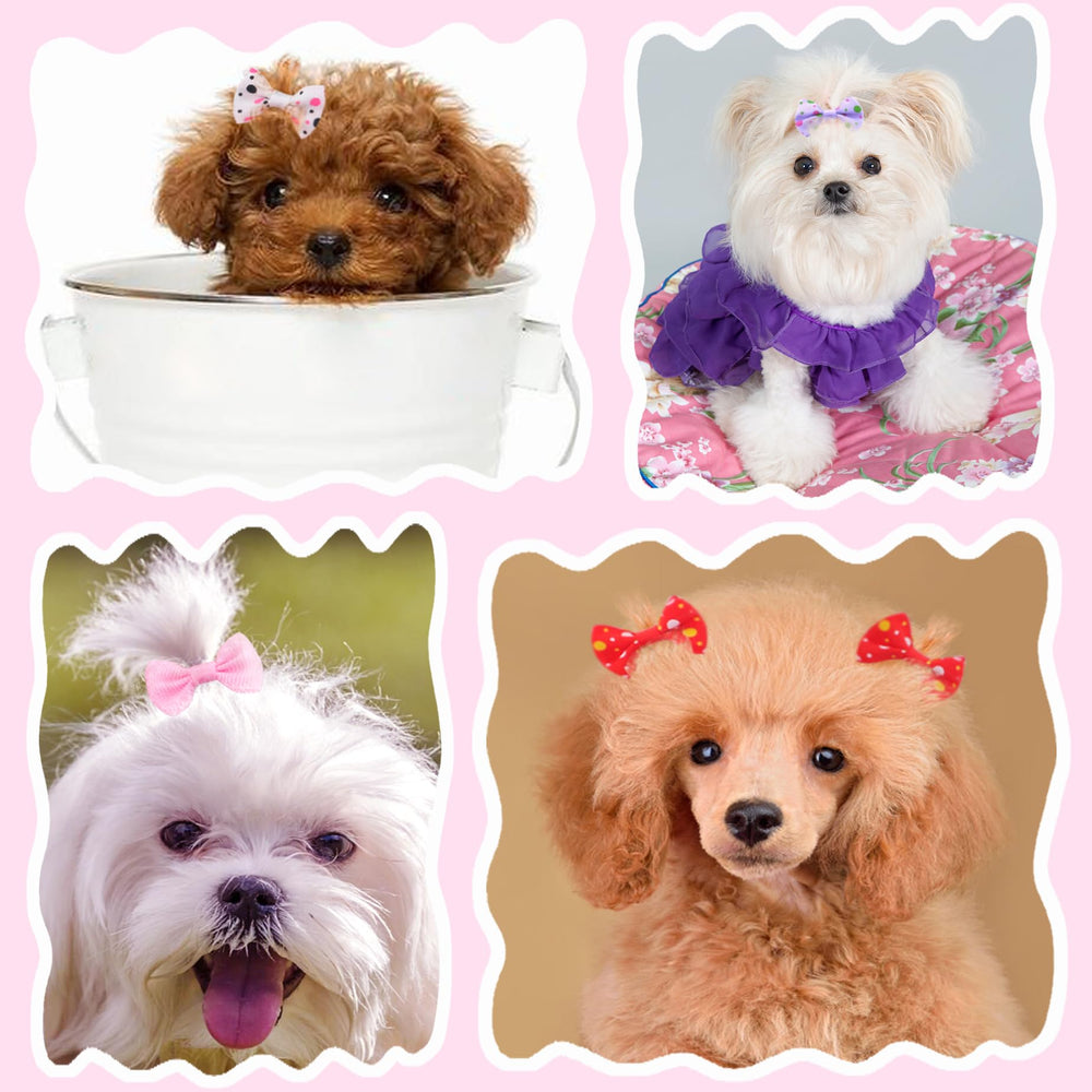 Babymatch puppy bows color variety highlights 30 color options for versatile outfits