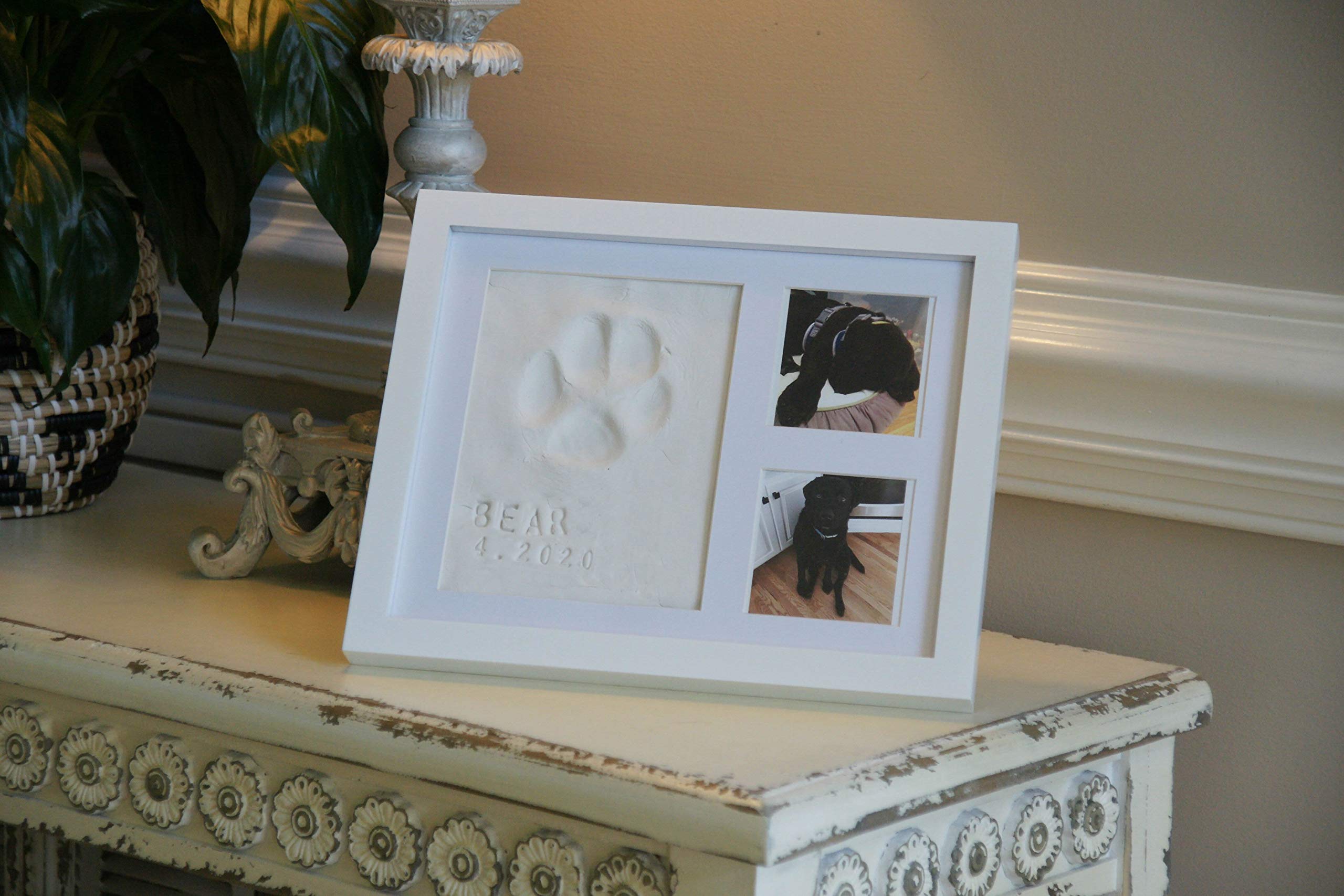 Baby Mushroom close-up shows crisp engraving of your pet’s name on frame.