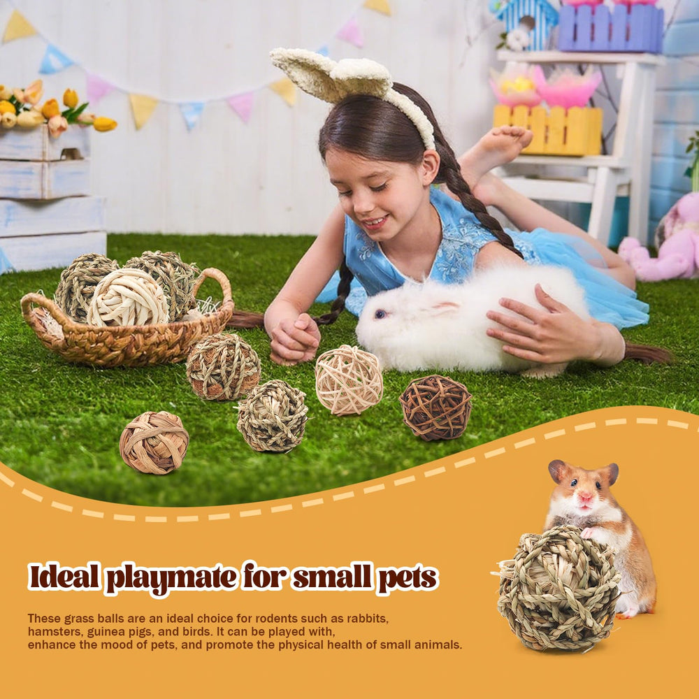 Bac-kitchen bunny chew grass balls enrichment station setup in habitat