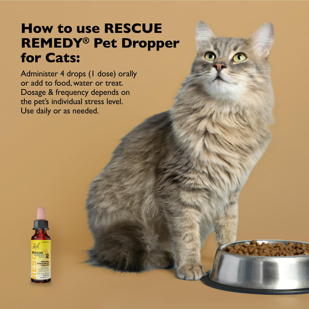 Dosis fácil Rescue Remedy para gatos: añade a comida o agua