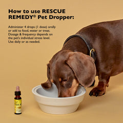 Dropper tip of Bach Rescue Remedy Pet Dropper for easy administration
