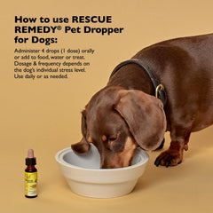 Bach Rescue Remedy Pet Dropper added to water for quick daily stress support.