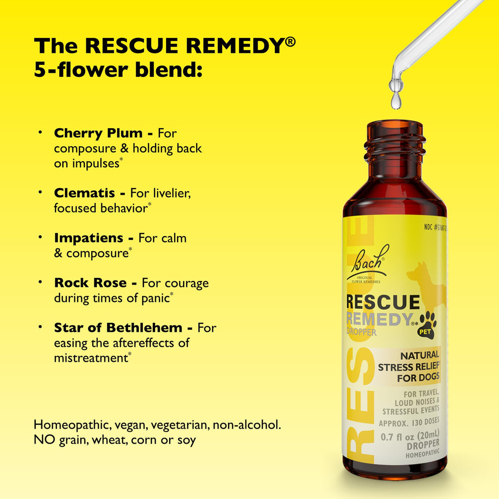 Close-up of relaxed dog after using Bach Rescue Remedy Pet Dropper for gentle tension relief.