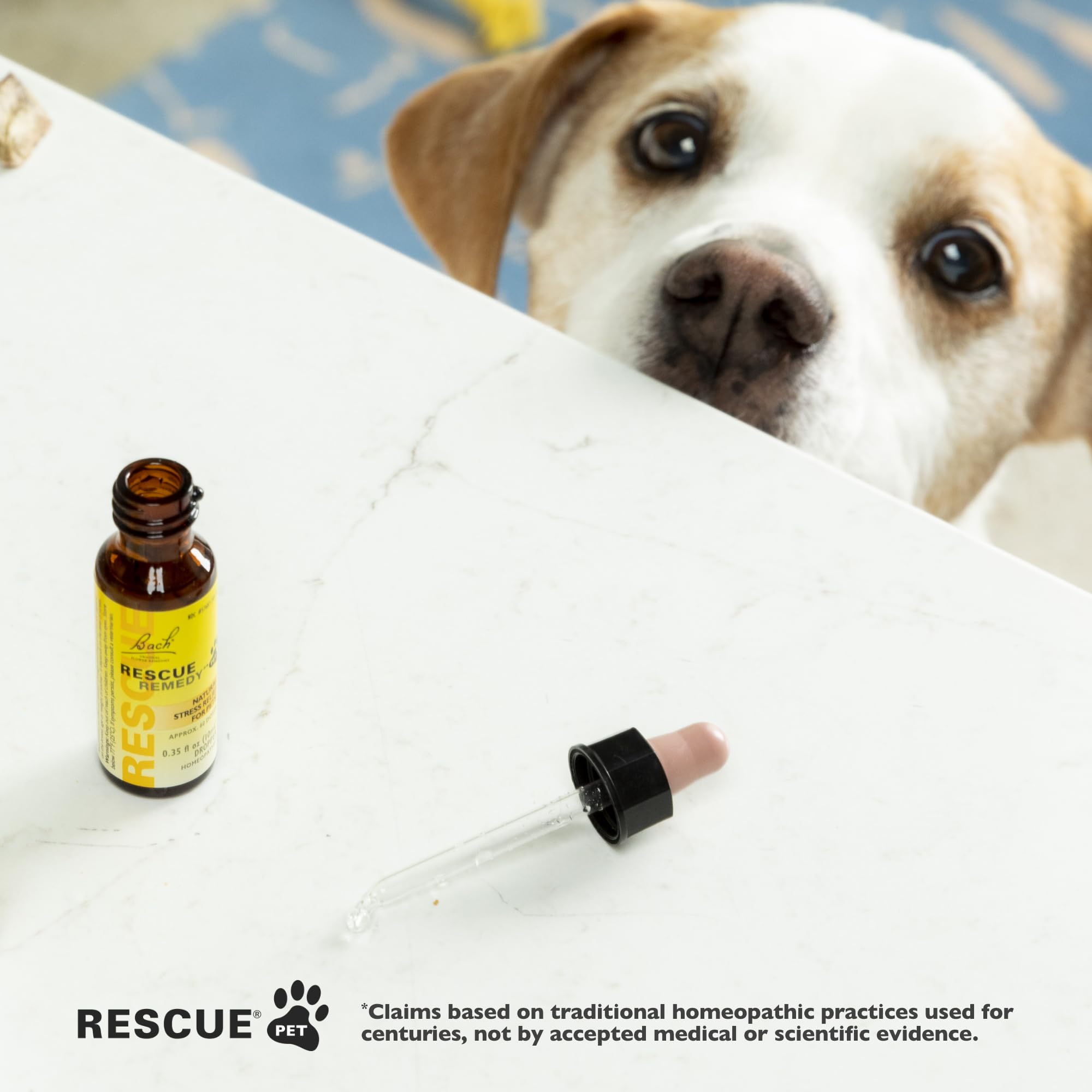 Pet in carrier with Rescue Remedy during travel for stress support