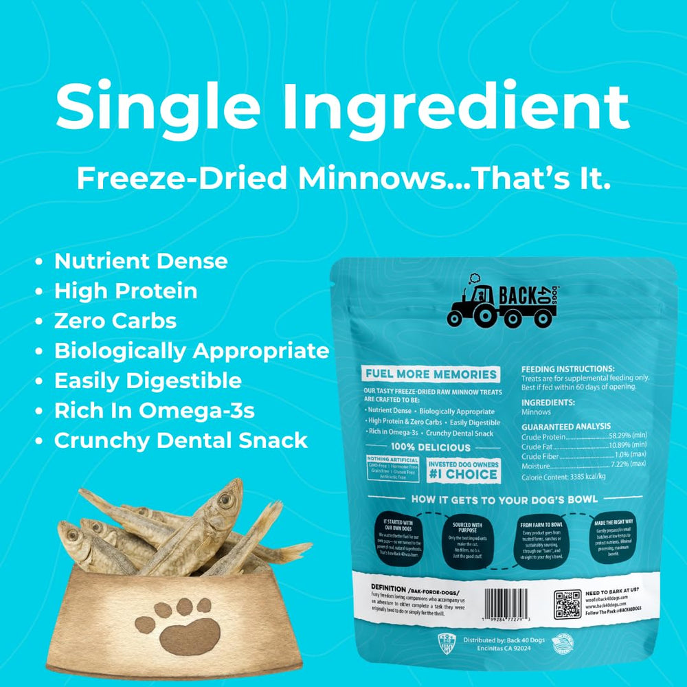 Cat enjoying Back 40 Dogs minnow treat as a healthy snack