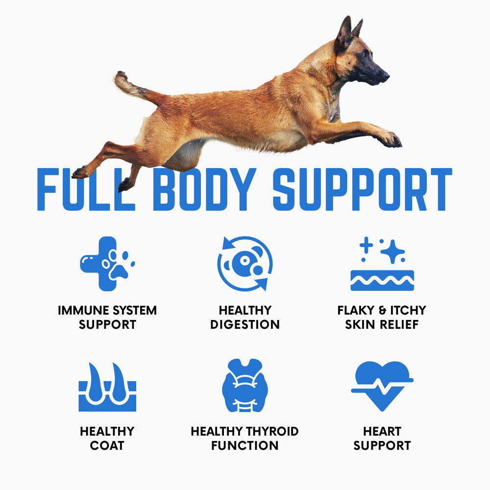 Back 40 Dogs dog coat health with kelp powder for shinier fur.