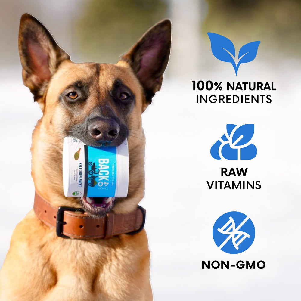 Back 40 Dogs immune support and thyroid help from iodine-rich kelp.