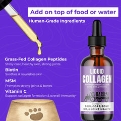 Back 40 Dogs collagen may soothe itchy skin in dogs.