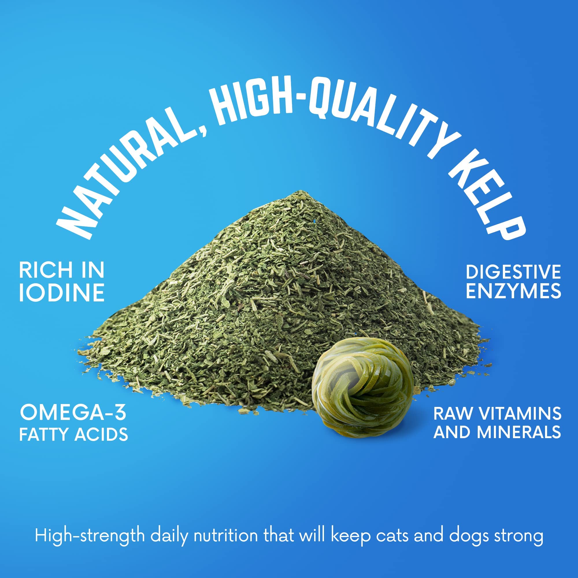 Back 40 Dogs kelp powder with scoop ready to mix into pet meals.
