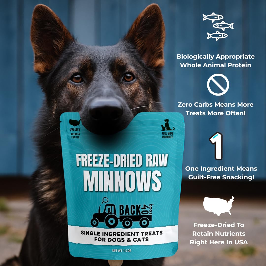 Dog training treat pouch with Back 40 Dogs minnows for rewards