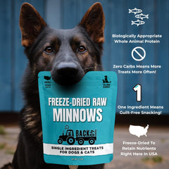 Dog training treat pouch with Back 40 Dogs minnows for rewards