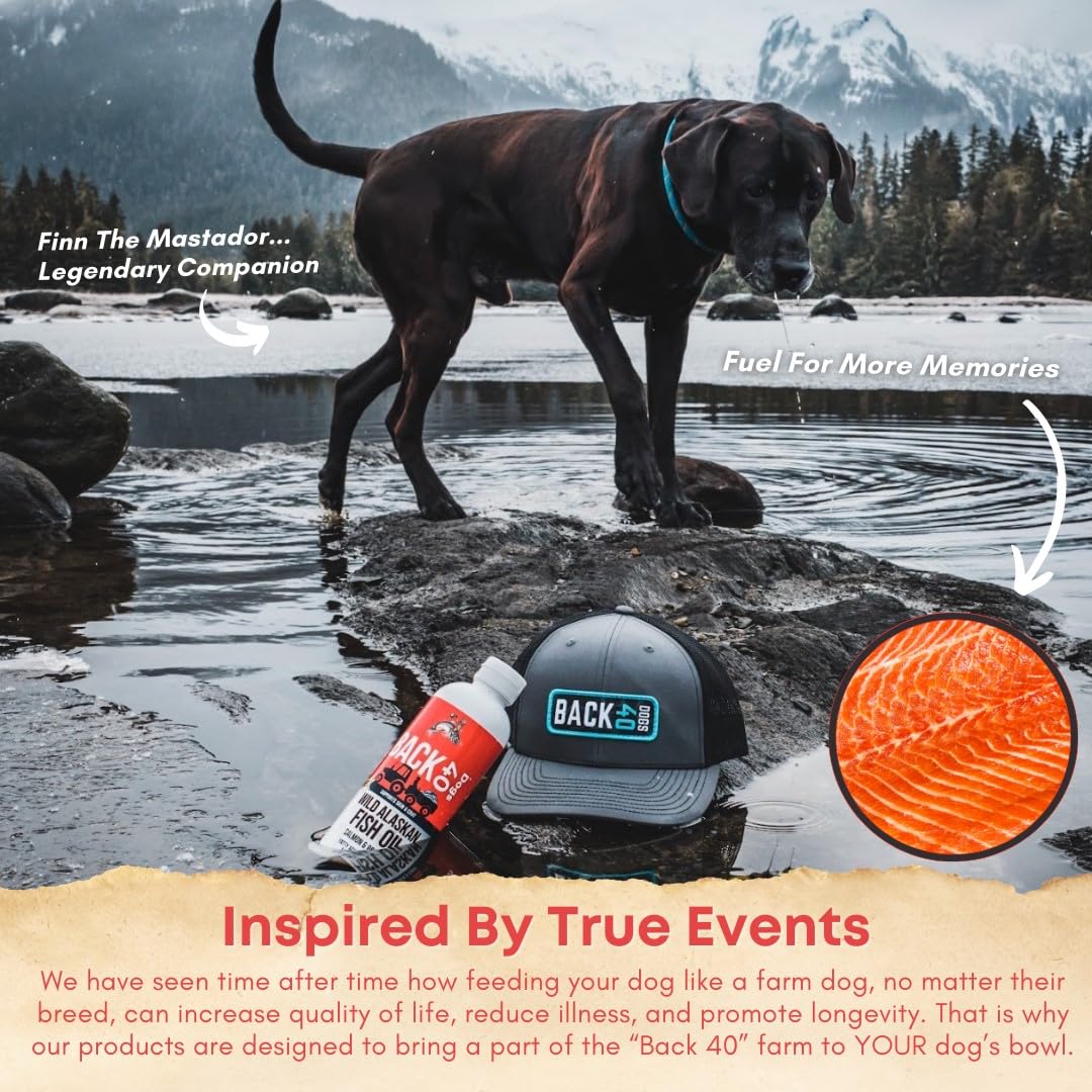Back 40 Dogs wild Alaskan fish oil blend image communicates skin and coat nourishment.