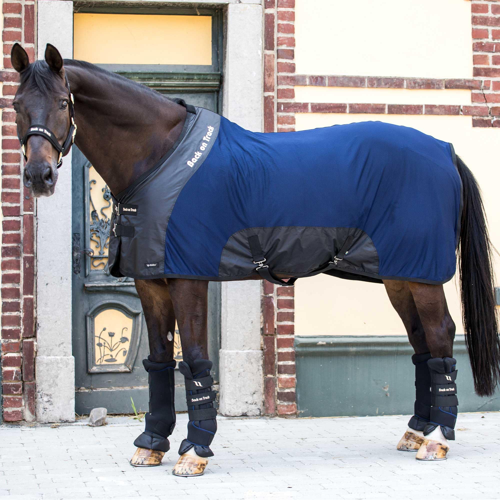 Back on Track Royal Malla caballo-proteccion-insectos: protege a tu caballo de moscas.