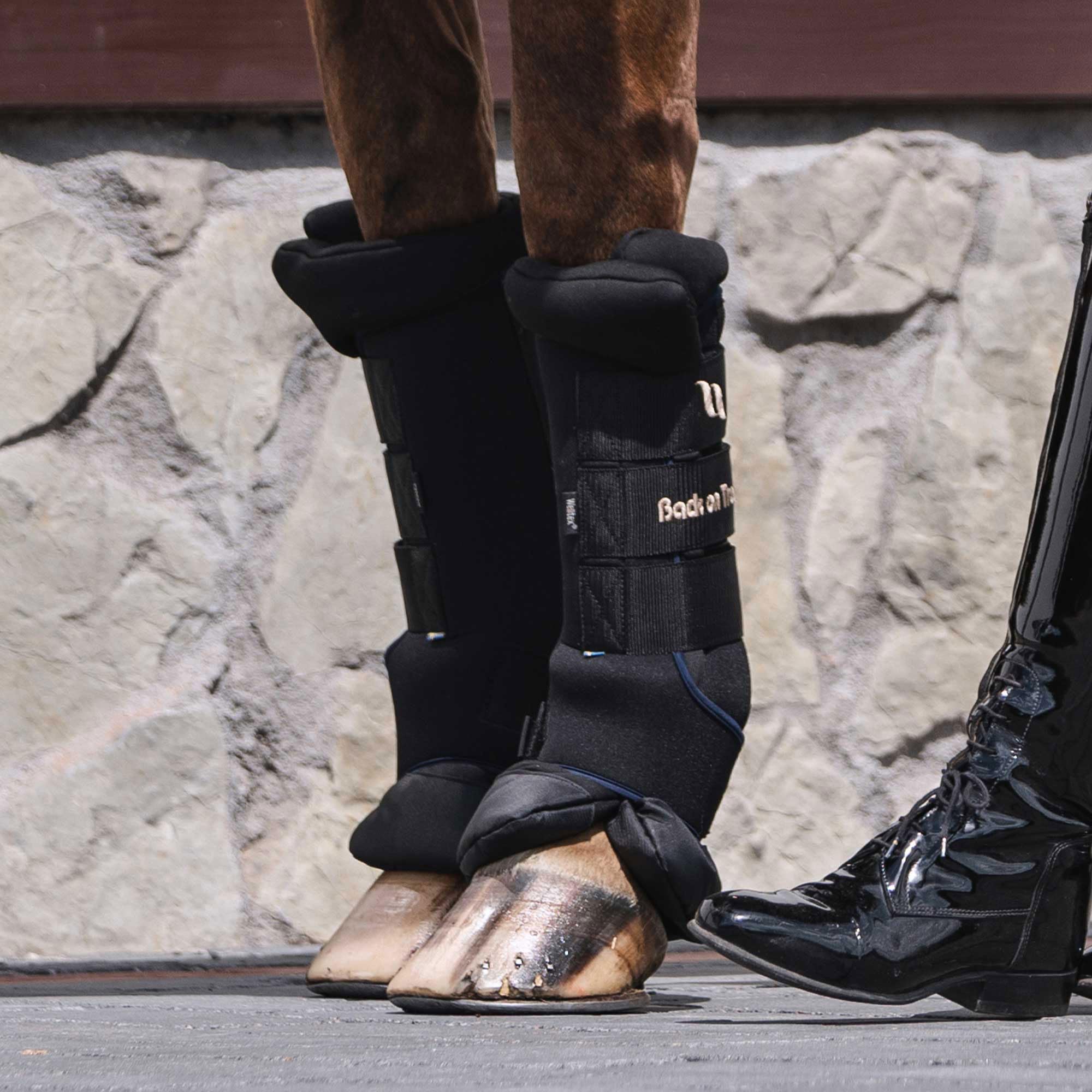 Back on Track Royal Quick Wraps Deluxe water-repellent fabric keeps hoof area dry