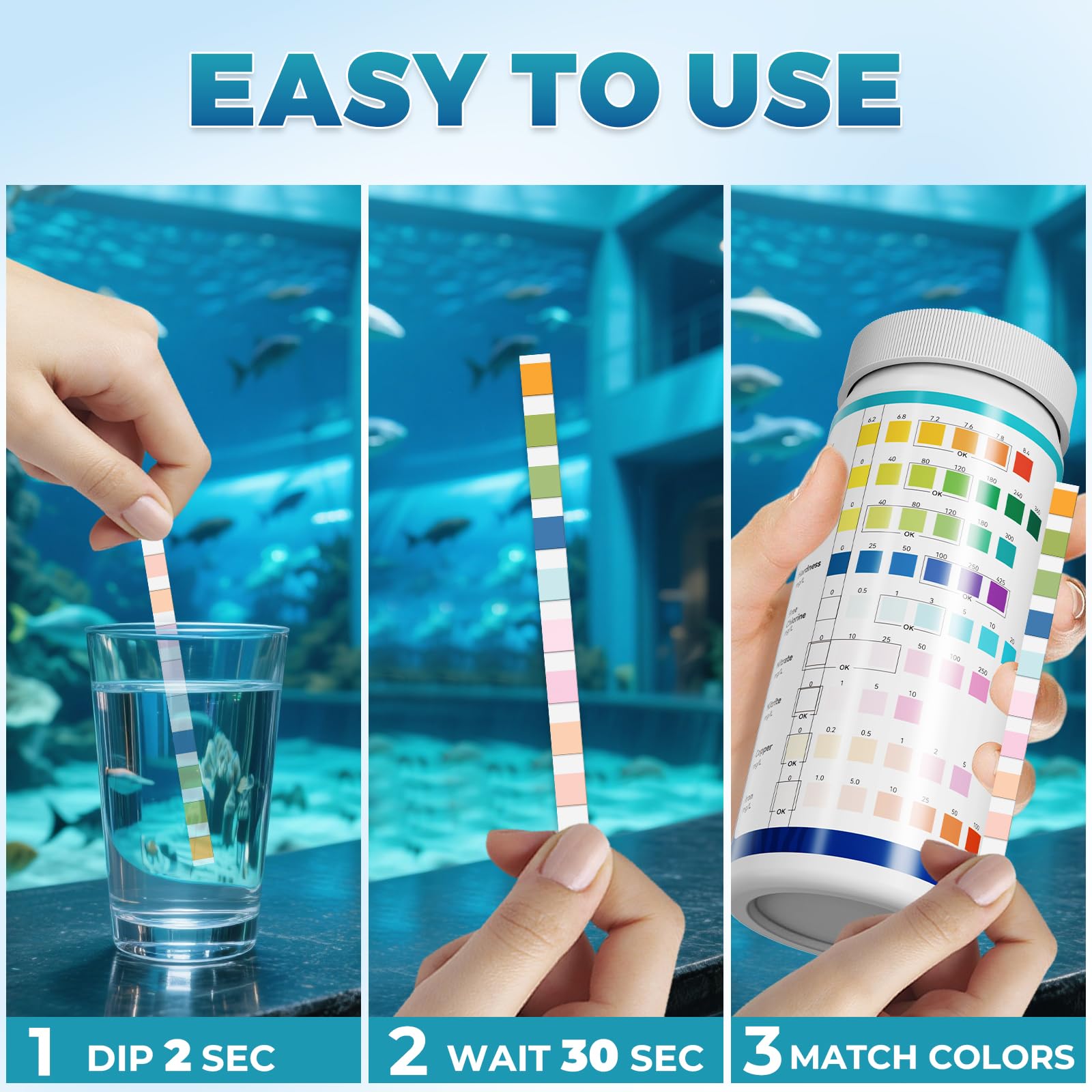 BACNUNN freshwater and saltwater compatibility guides tank setup decisions
