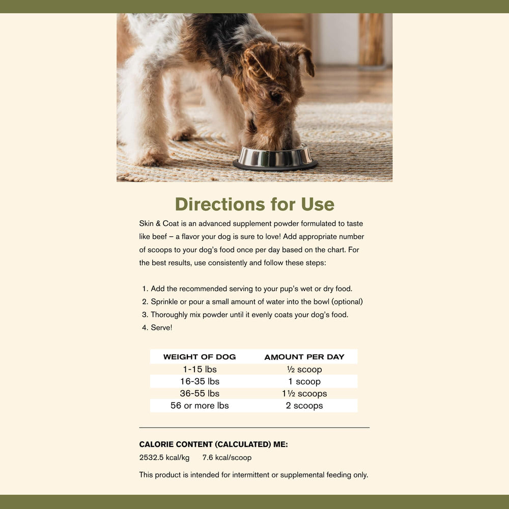 Badlands Ranch dog-shiny-coat image illustrates a healthy-looking coat appearance.