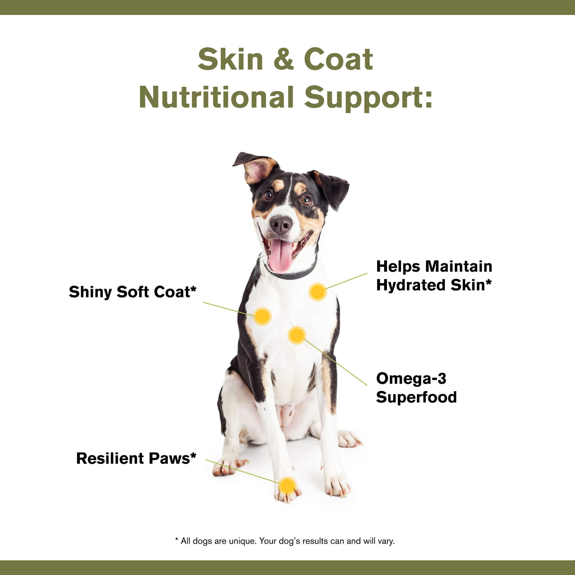 Badlands Ranch fish-oil-omega-3 supports joints, eyes, and paw resilience.
