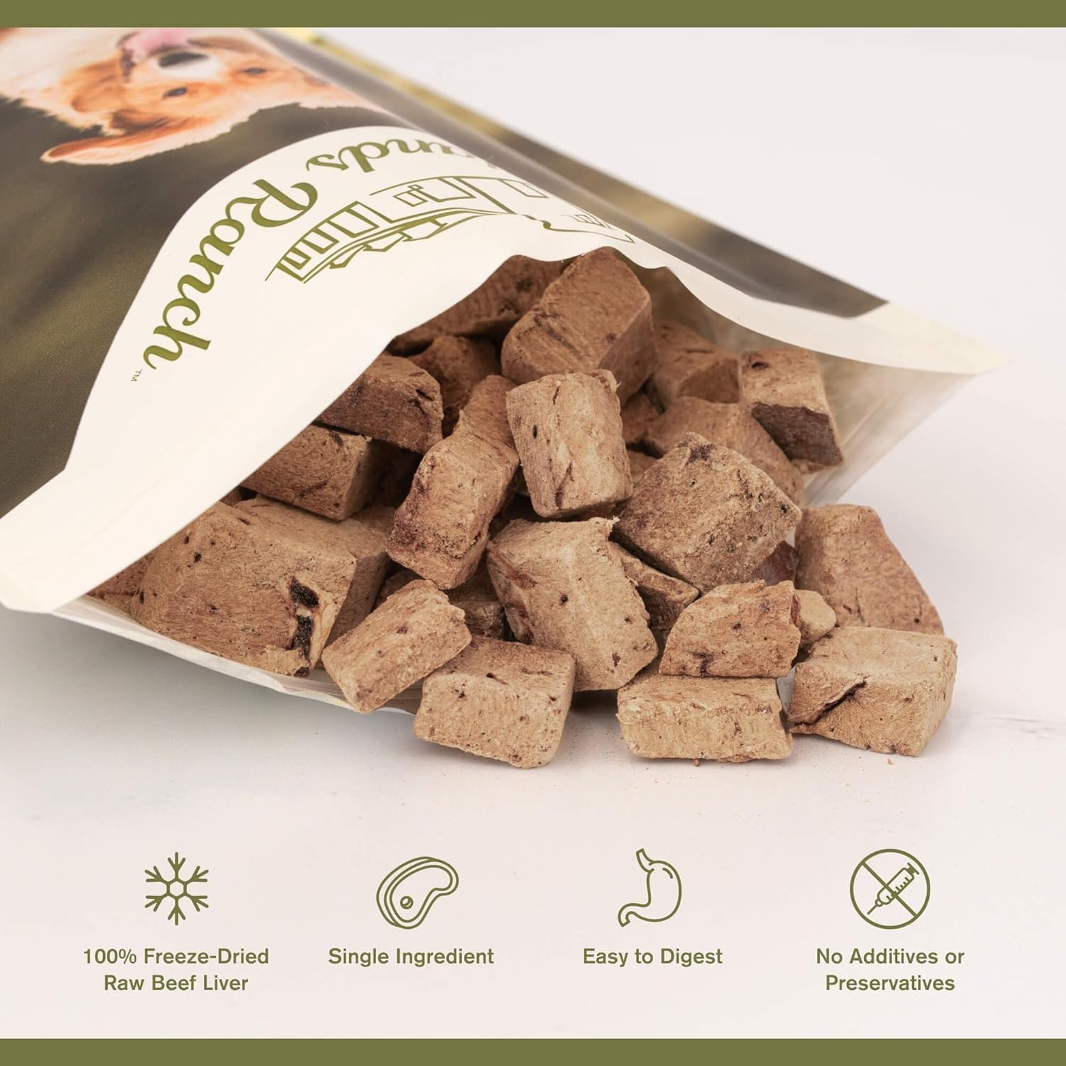 BADLANDS RANCH freeze-dried treat texture close-up preserves fresh flavor.