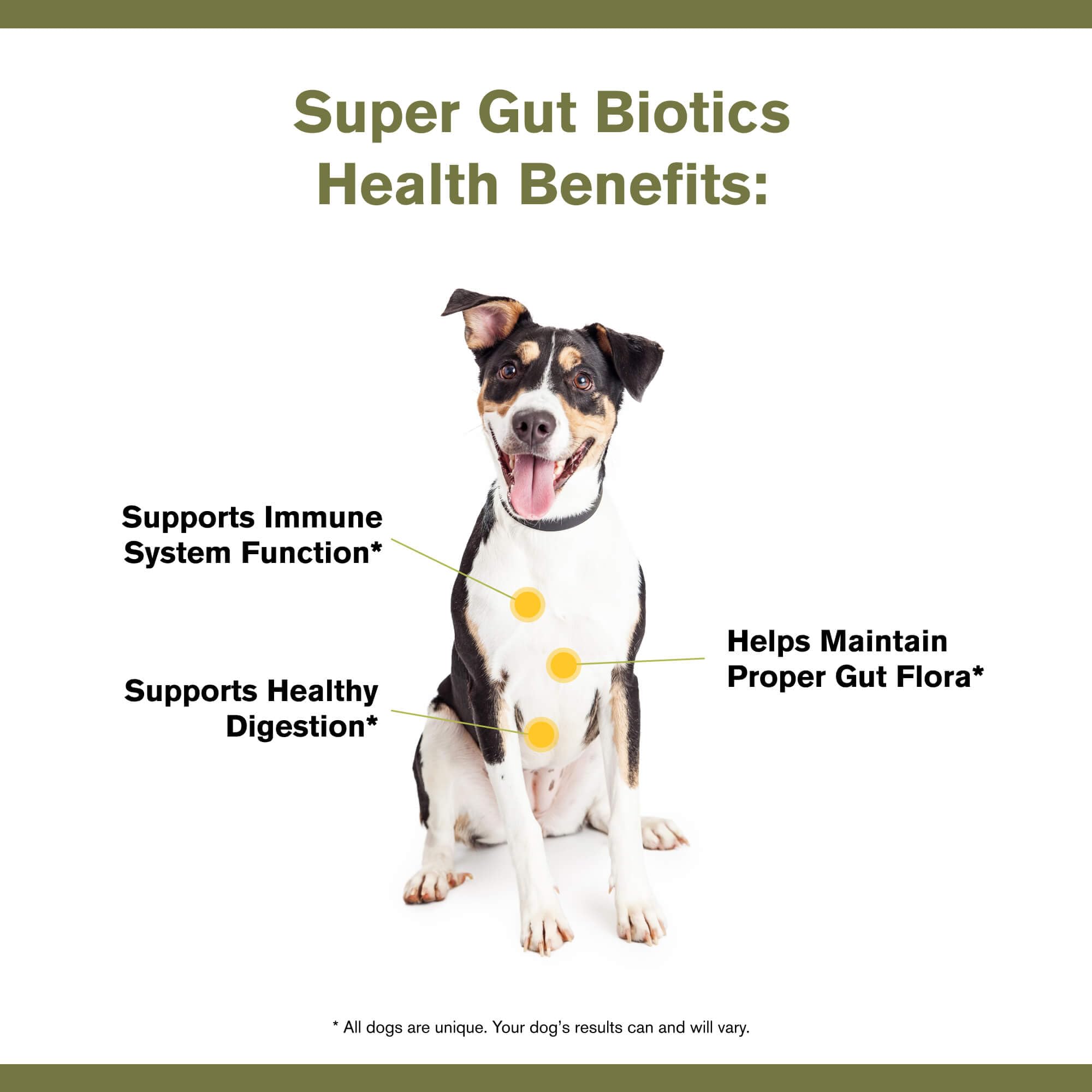 Badlands Ranch Super Gut Biotics flax-seed-pumpkin-seed showcase fiber and nutrients for smoother digestion.
