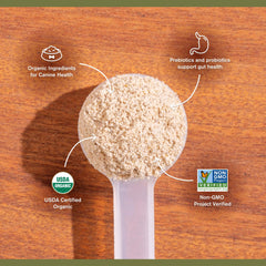 Badlands Ranch Super Gut Biotics organic-mushroom-blend emphasizes beta-glucans for immune-support and gut health.