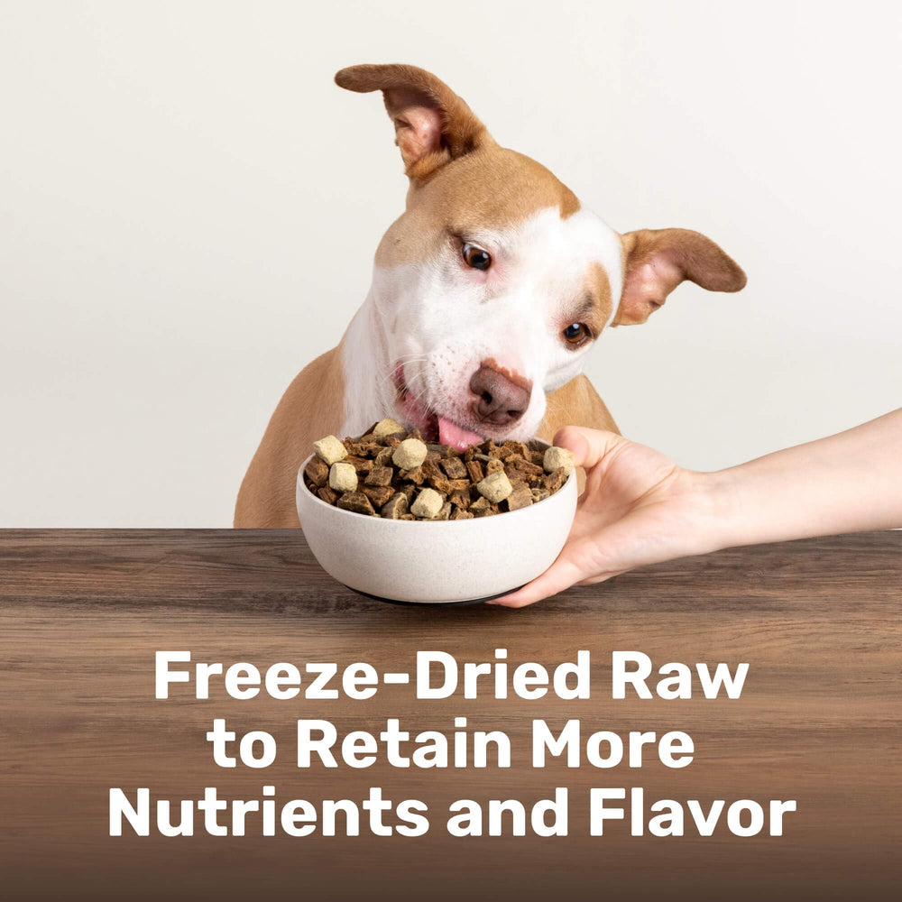 BADLANDS RANCH Superfood Nuggets close-up emphasizes beef tripe and kale for protein-dense meals.