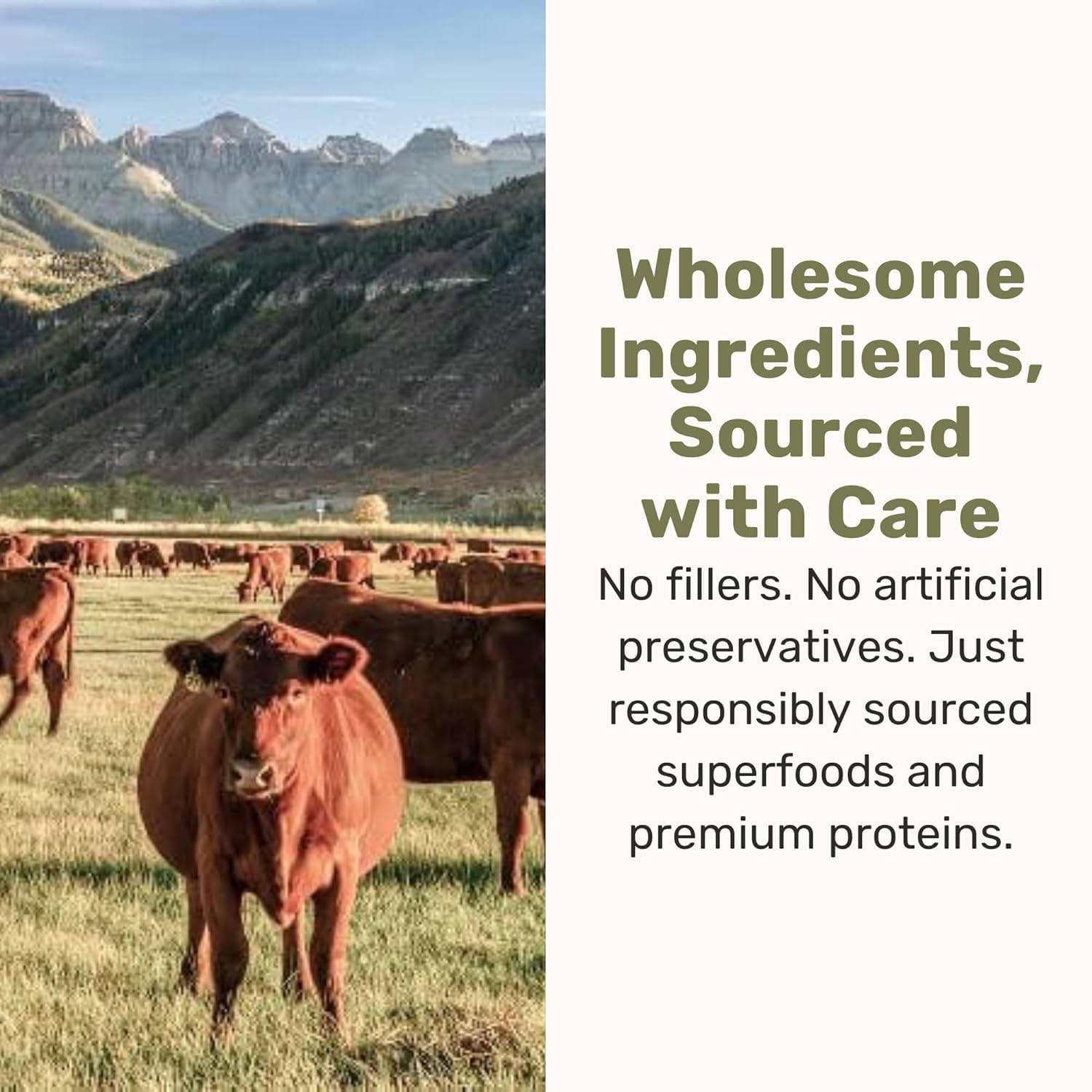 BADLANDS RANCH nuggets over kibble illustrate easy meal boost.