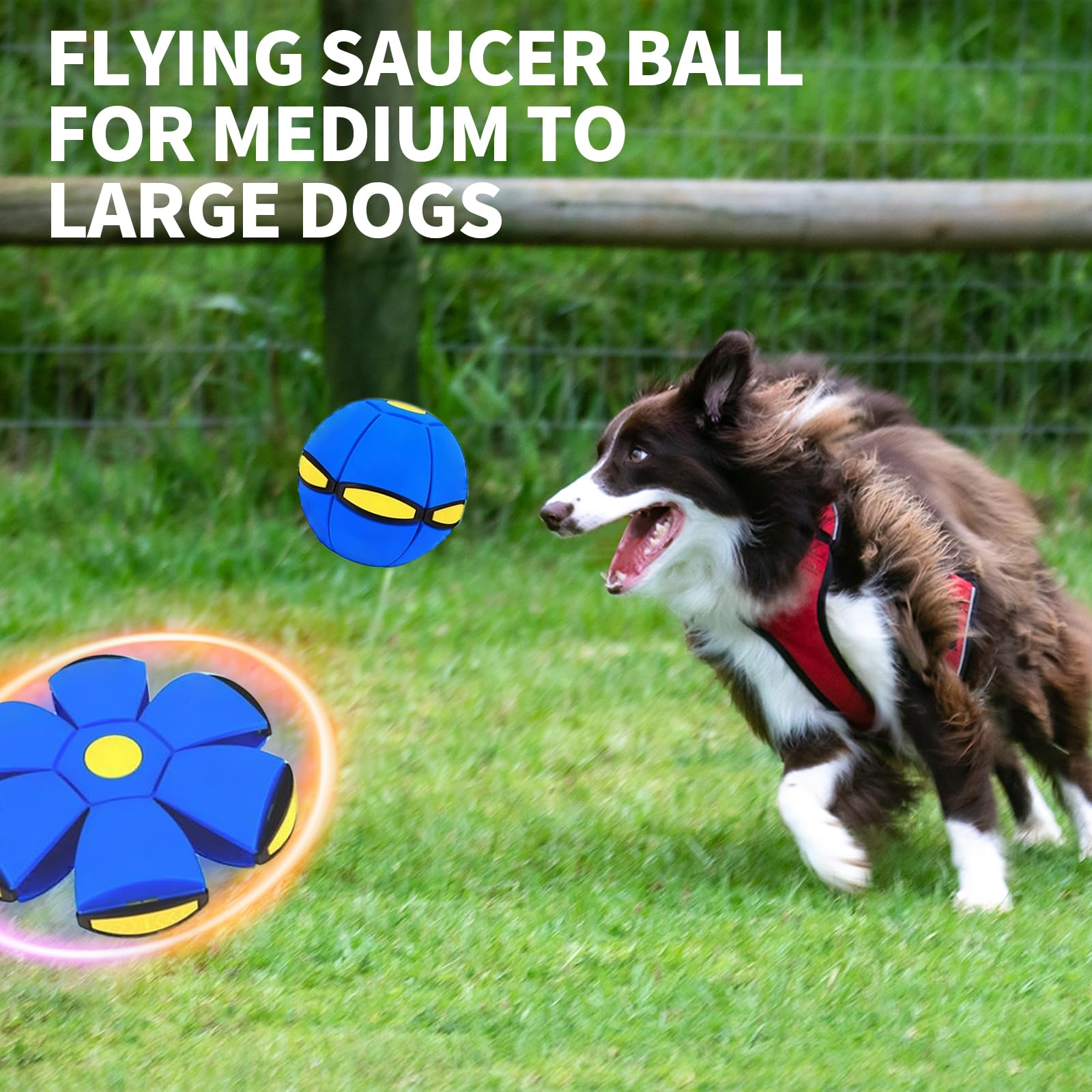 BADWALT dog flying disc toy night lighting brightens evening fetch
