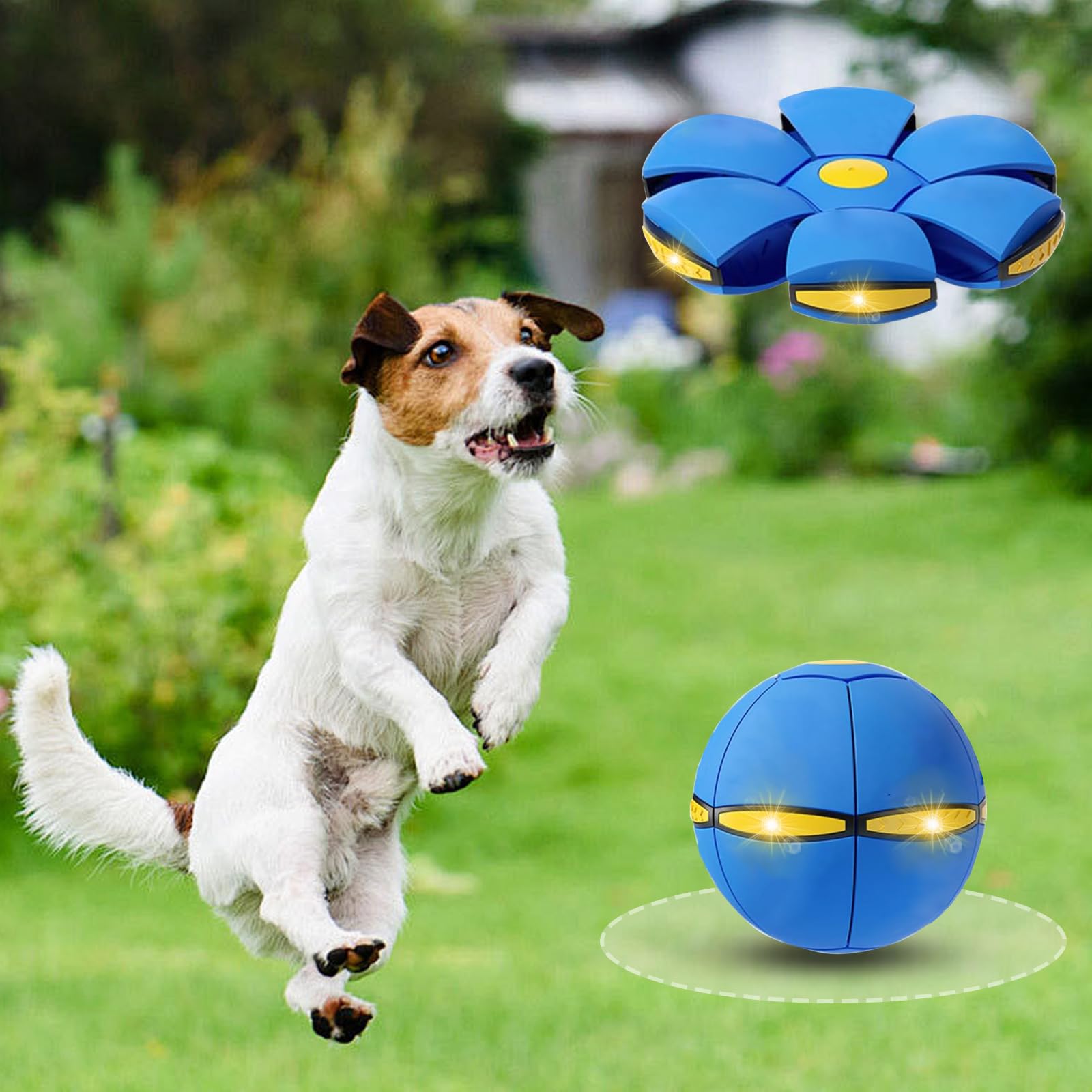 BADWALT dog flying disc toy press to transform from ball to saucer during play