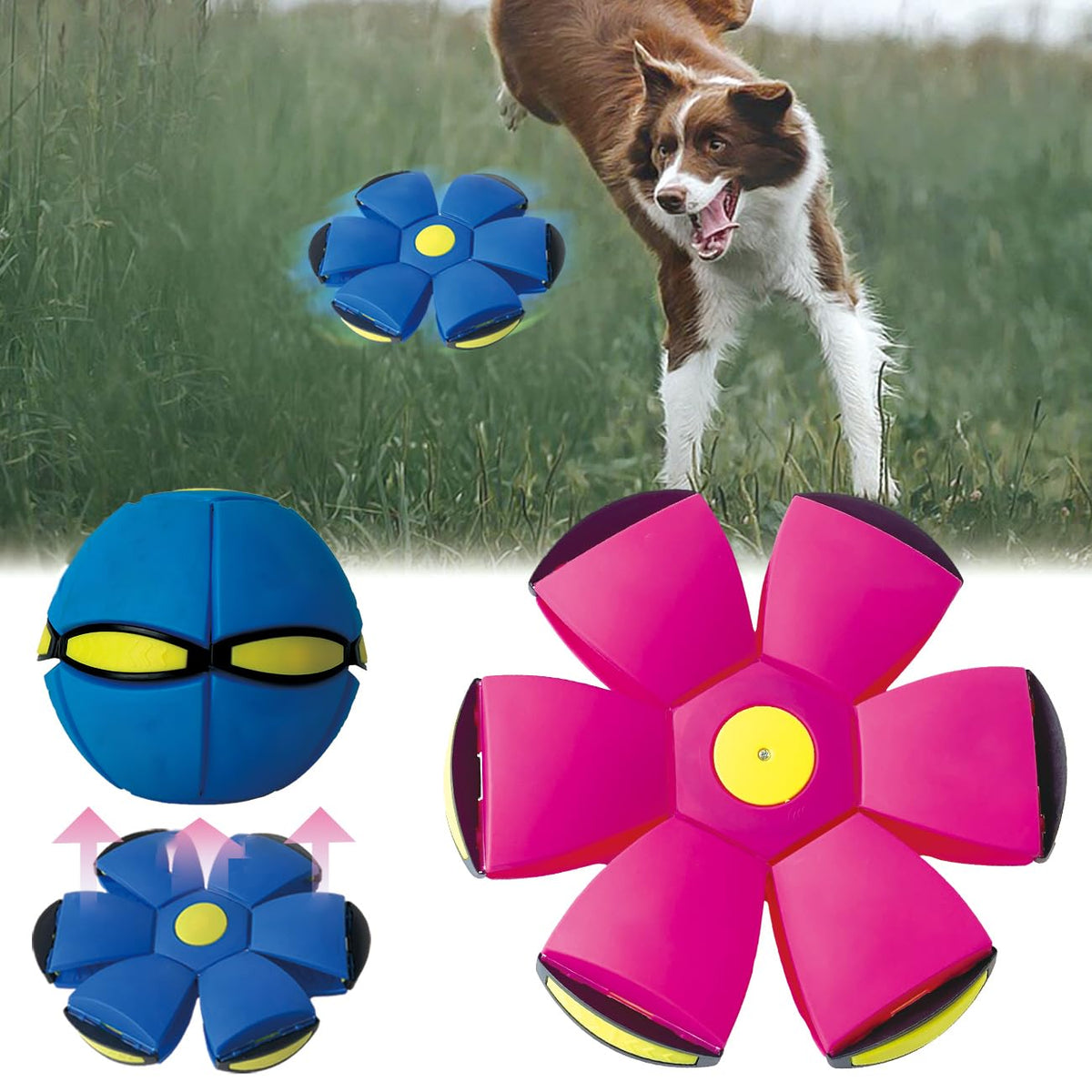 BADWALT FlidRunest flying-saucer-ball for interactive fetch sessions