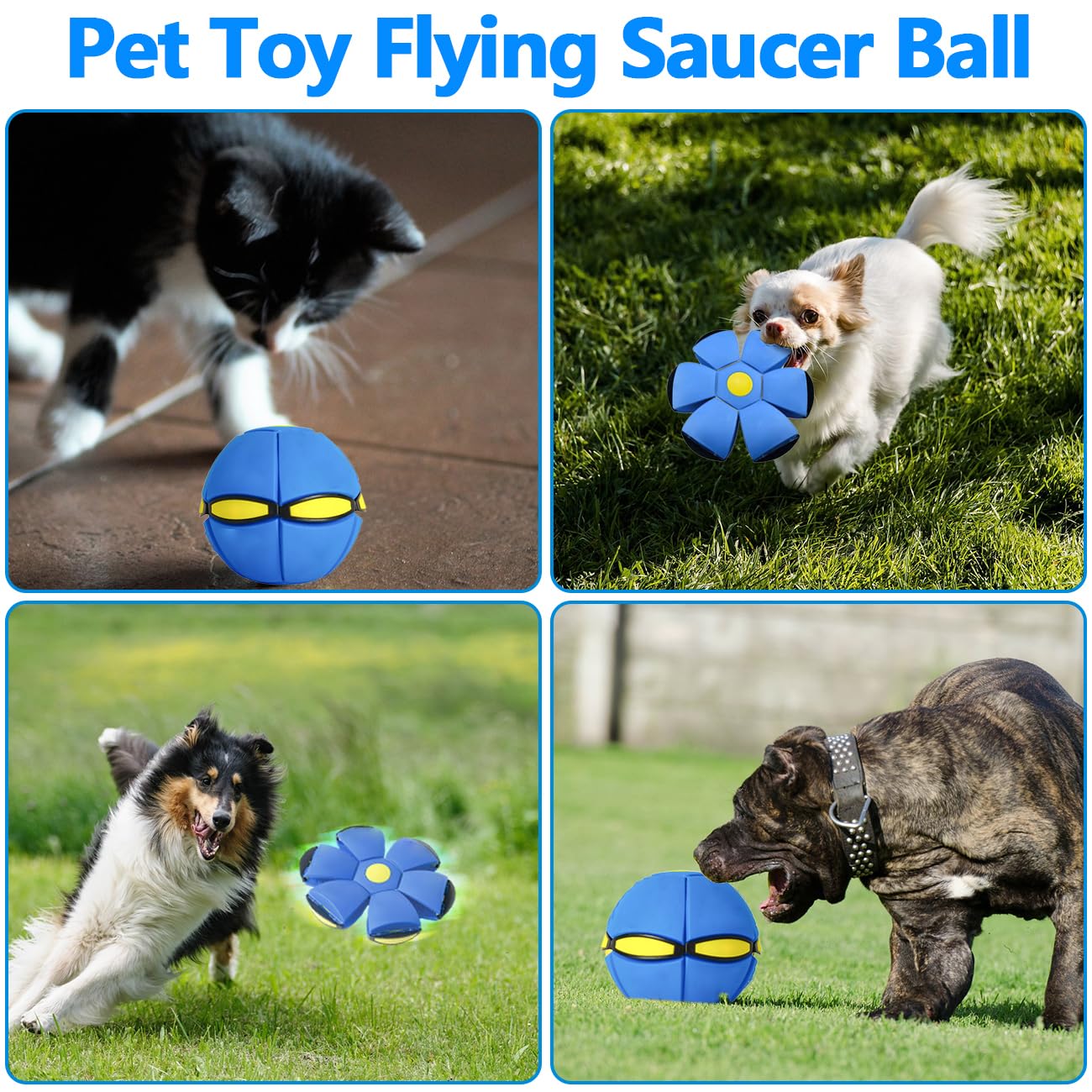 BADWALT FlidRunest eco-friendly safe-material toy for gentle chewing