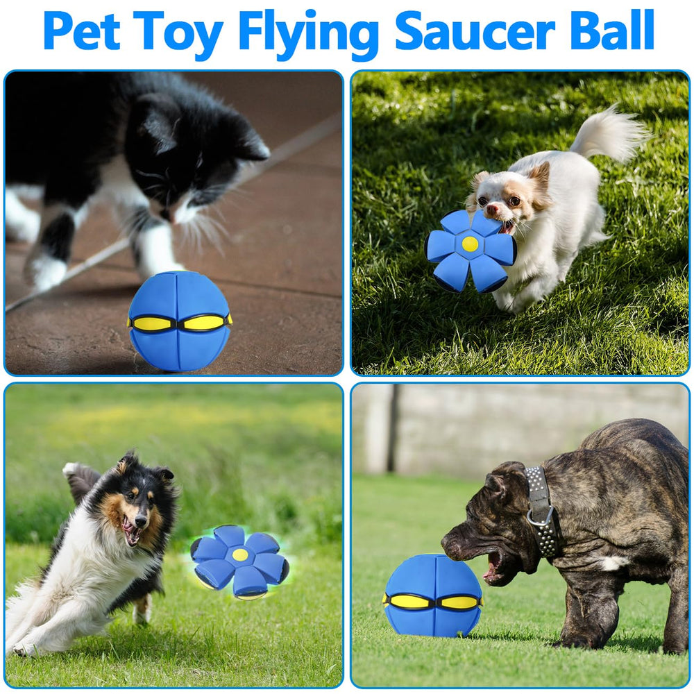 BADWALT FlidRunest eco-friendly safe-material toy for gentle chewing