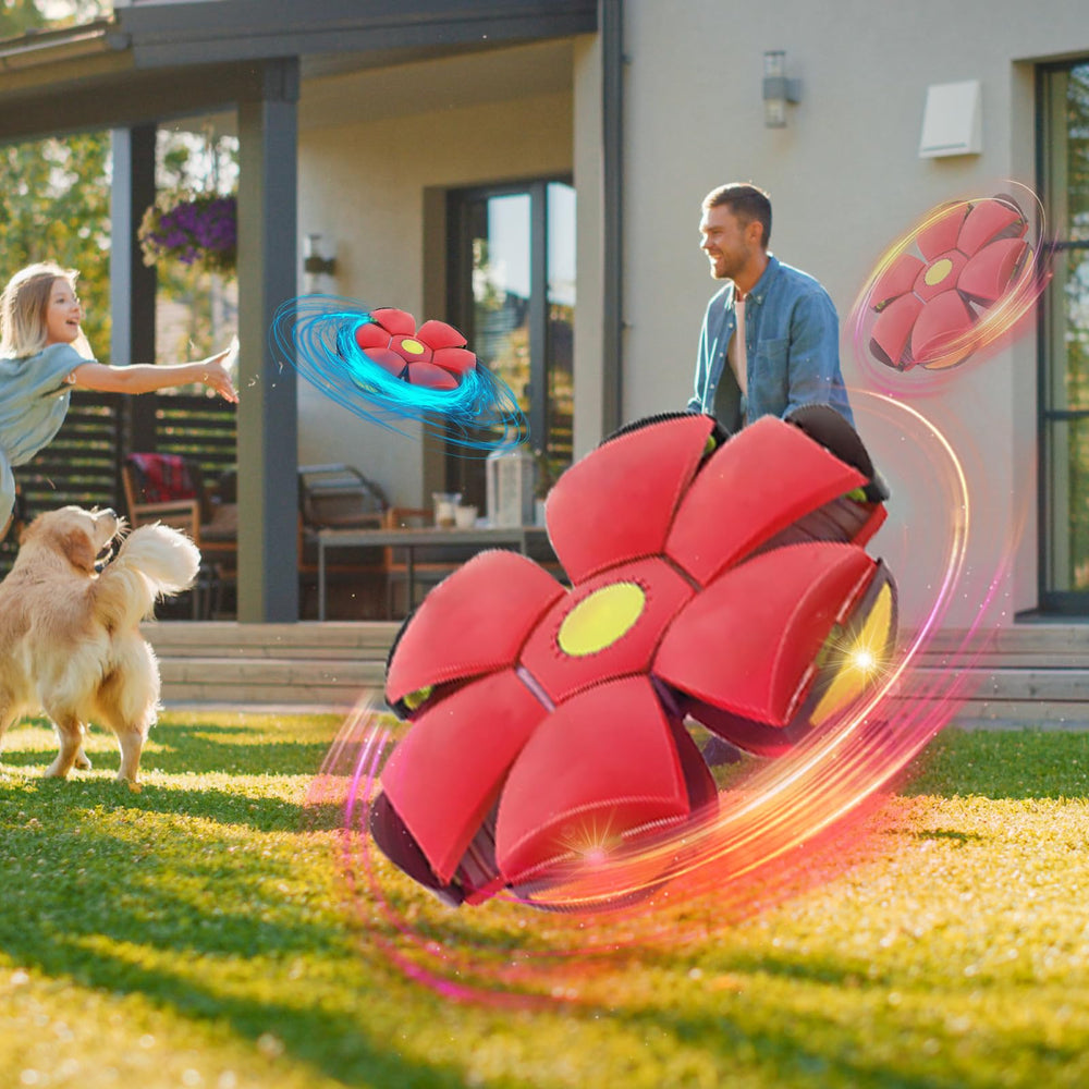 BADWALT night-play disc with LEDs for safe evening fetch.