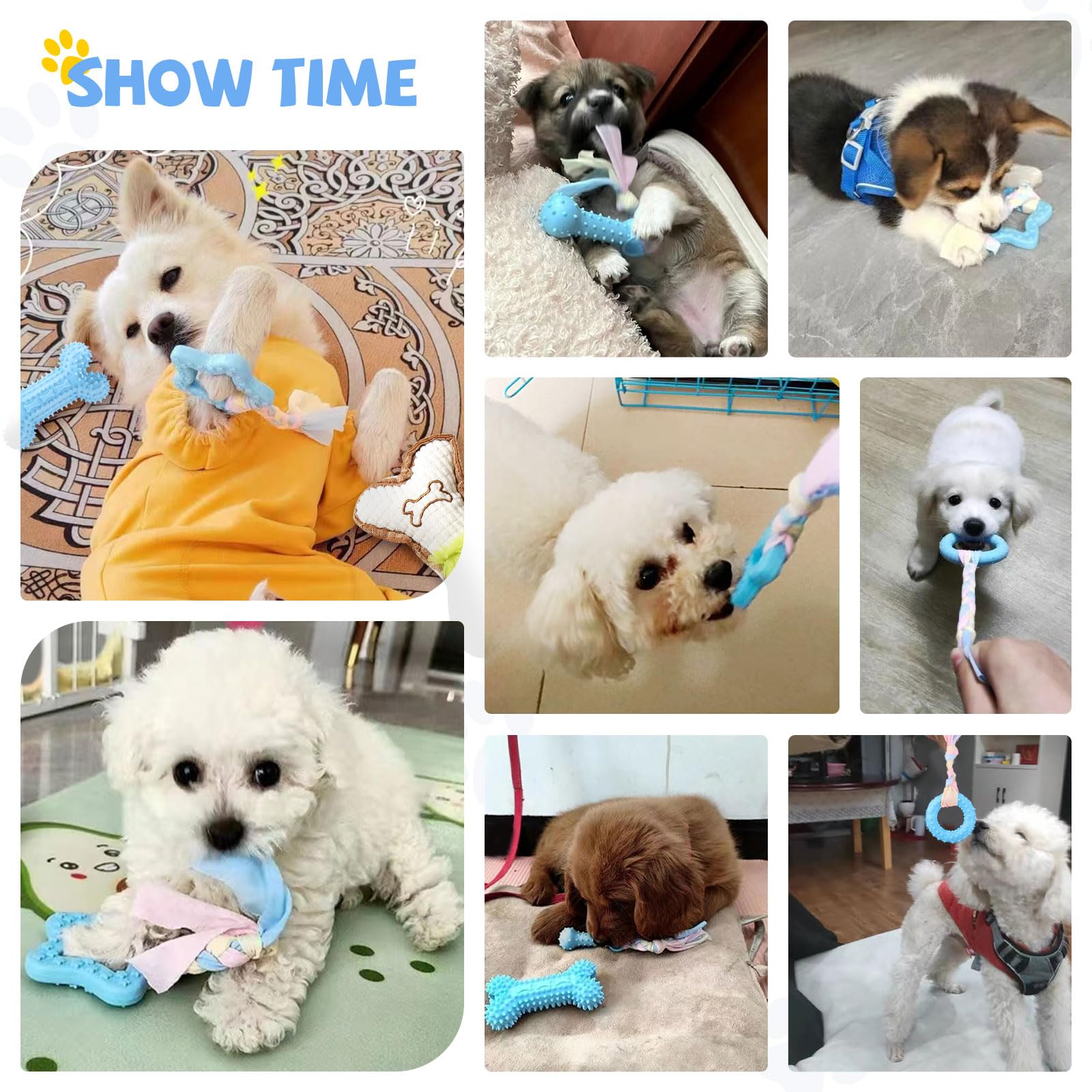 BAEJMJK blue small dog toy set illustrating varied play options for teething months.