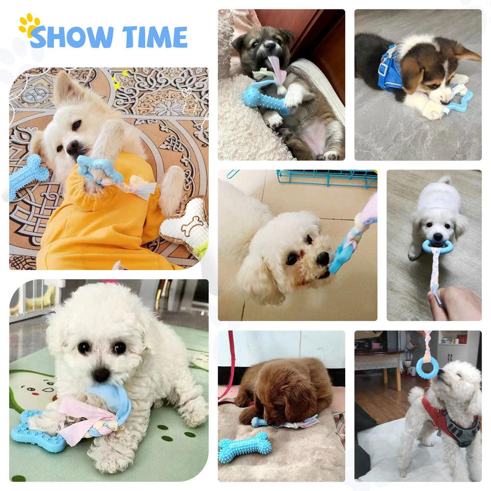 BAEJMJK blue small dog toy set illustrating varied play options for teething months.