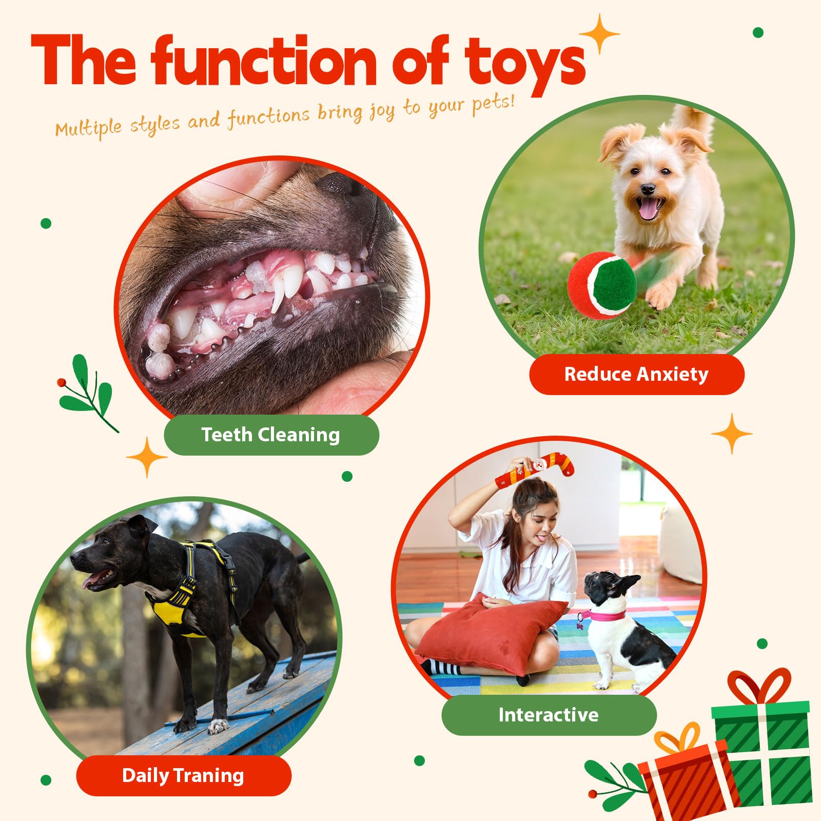 BAEJMJK squeaky ball with bounce—lively ground play for small dogs
