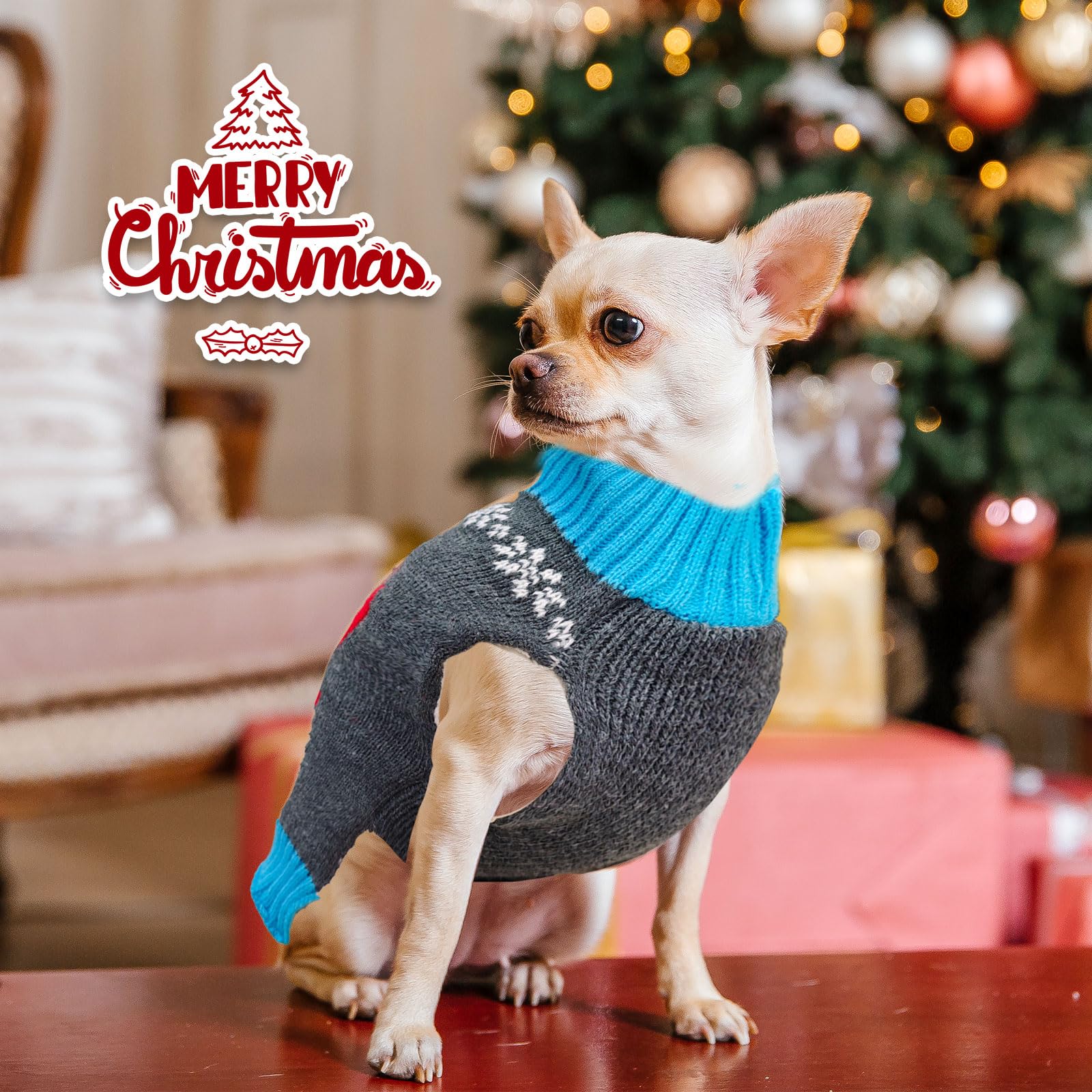 BAEJMJK dog sweater turtleneck grey XS provides extra warmth
