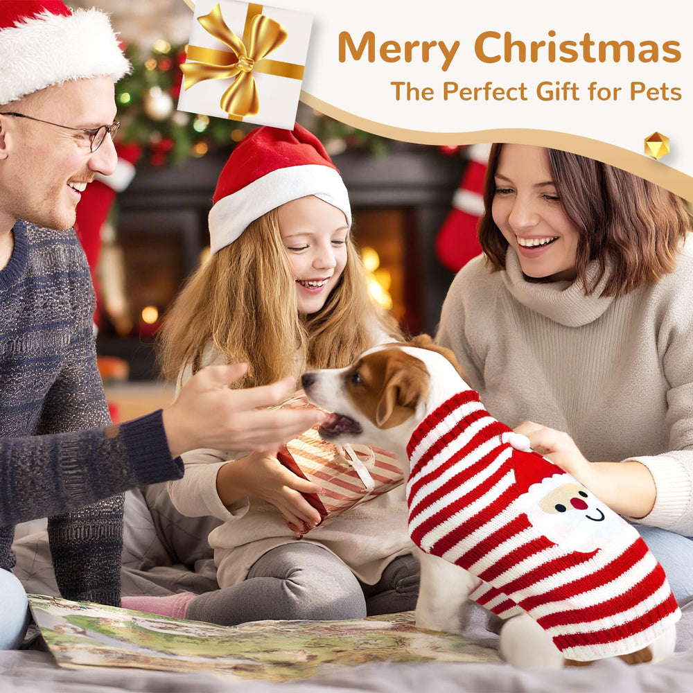 BAEJMJK cozy at-home look for festive, warm moments with your dog.