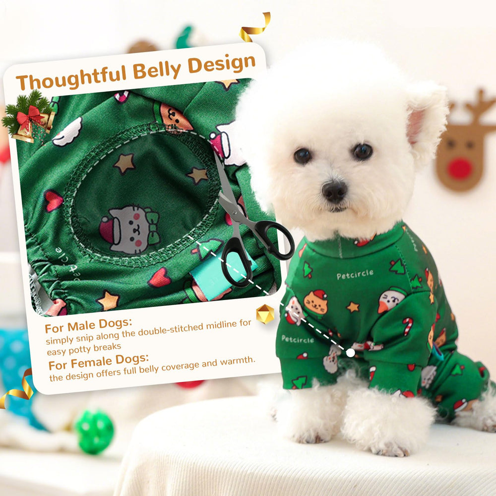 BAEJMJK small-breed-fit-green demonstrates snug, secure wear for Chihuahuas and terriers