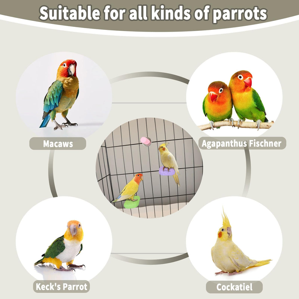 Baeruuss safe, odor-free materials support pet well-being.