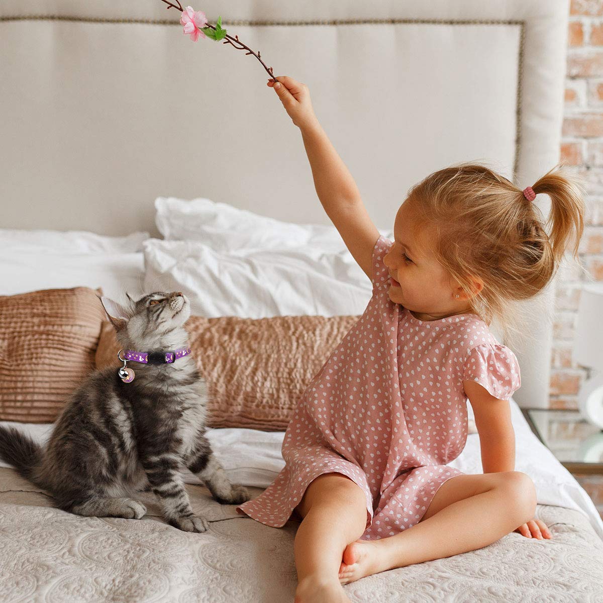 Baeuppit breakaway cat collar glow in dark feature helps quick location during evening play.