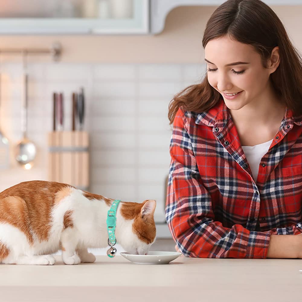 Baeuppit cat collar featuring Moon and Stars glow-in-the-dark detail for easy spotting.
