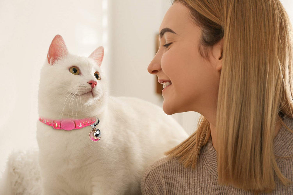Baeuppit cat collar gift-ready packaging adds thoughtful presenting option