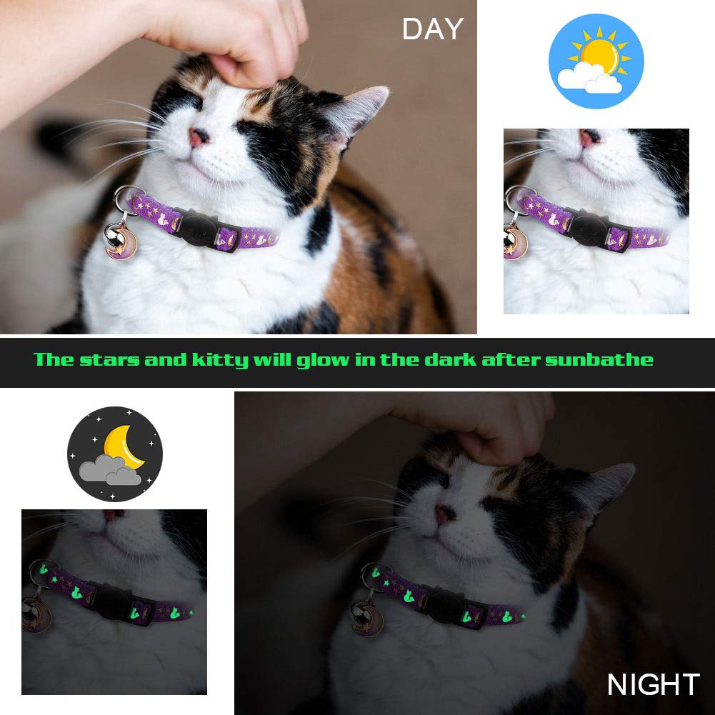 Baeuppit adjustable collar fits small kittens with comfortable size range.