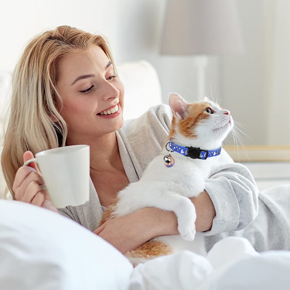 Baeuppit cat collar suitable for everyday wear and easy maintenance